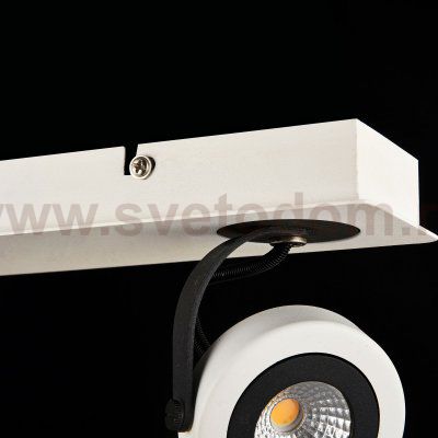 Спот Maytoni SP161-CW-02-W Magnetar 1