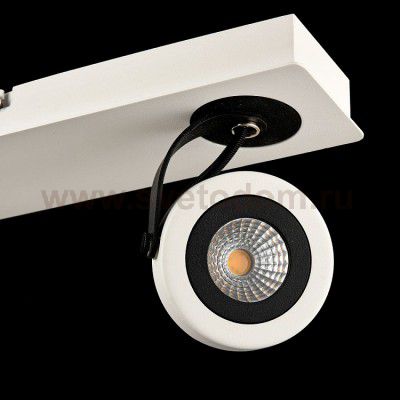 Спот Maytoni SP161-CW-03-W Magnetar 1