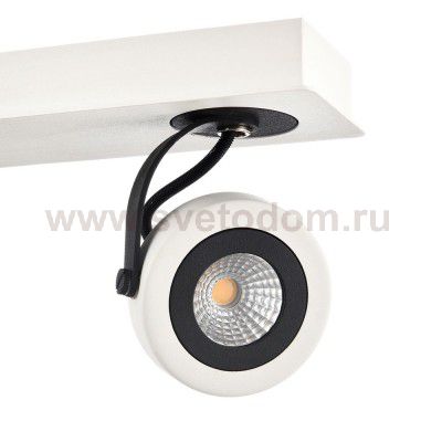 Спот Maytoni SP161-CW-04-W Magnetar 1