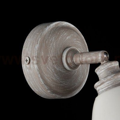 Светильник спот Maytoni SP289-CW-01-BG Agnes