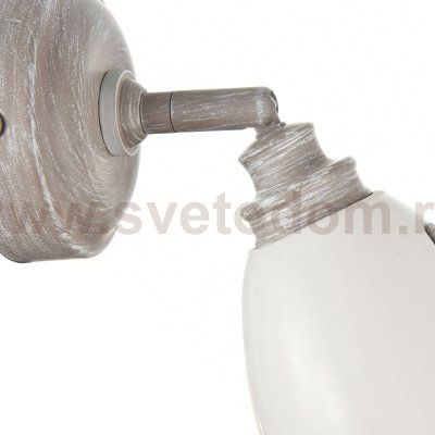 Светильник спот Maytoni SP289-CW-01-BG Agnes