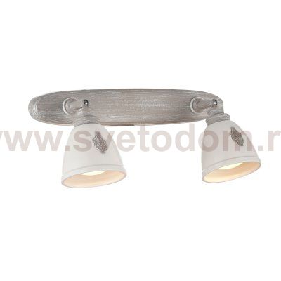 Светильник спот Maytoni SP289-CW-02-BG Agnes