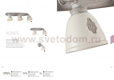 Светильник спот Maytoni SP289-CW-01-BG Agnes