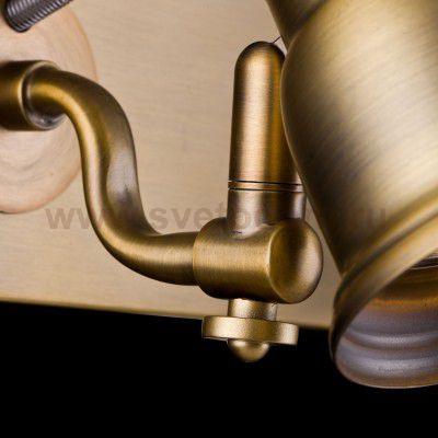 Спот Maytoni SP315-CW-02-BS Borgo