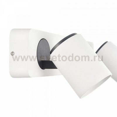 Спот Maytoni SP317-CW-02-W Alliot