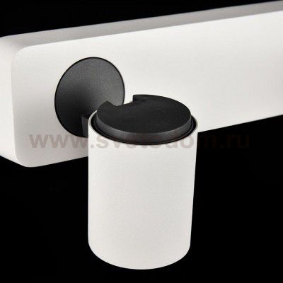 Спот Maytoni SP317-CW-02-W Alliot