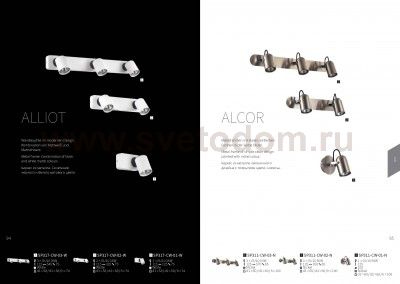 Спот Maytoni SP311-CW-02-N Alcor