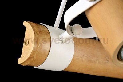 Светильник поворотный спот Maytoni SP565-CW-02-W Valli