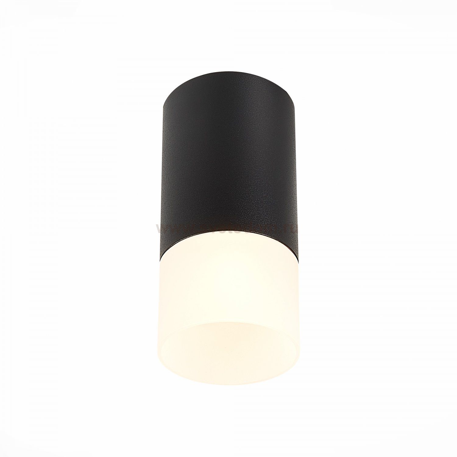 Светильник потолочный St luce ST100.412.01 ST100