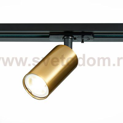 Трековый светильник St luce ST300.206.01 ST300