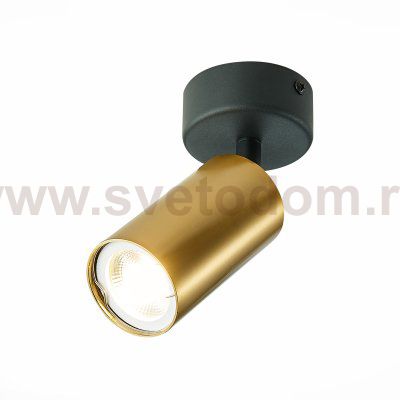 Потолочный светильник St luce ST303.202.01 ST303