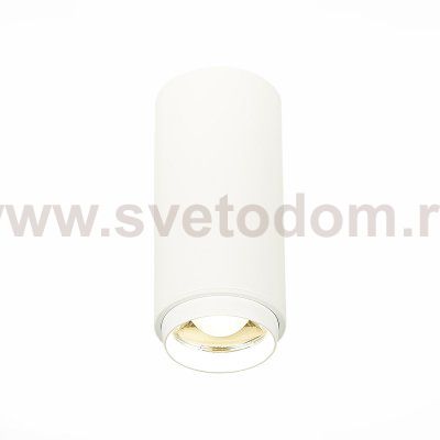 Светильник потолочный St luce ST600.542.10 ZOOM