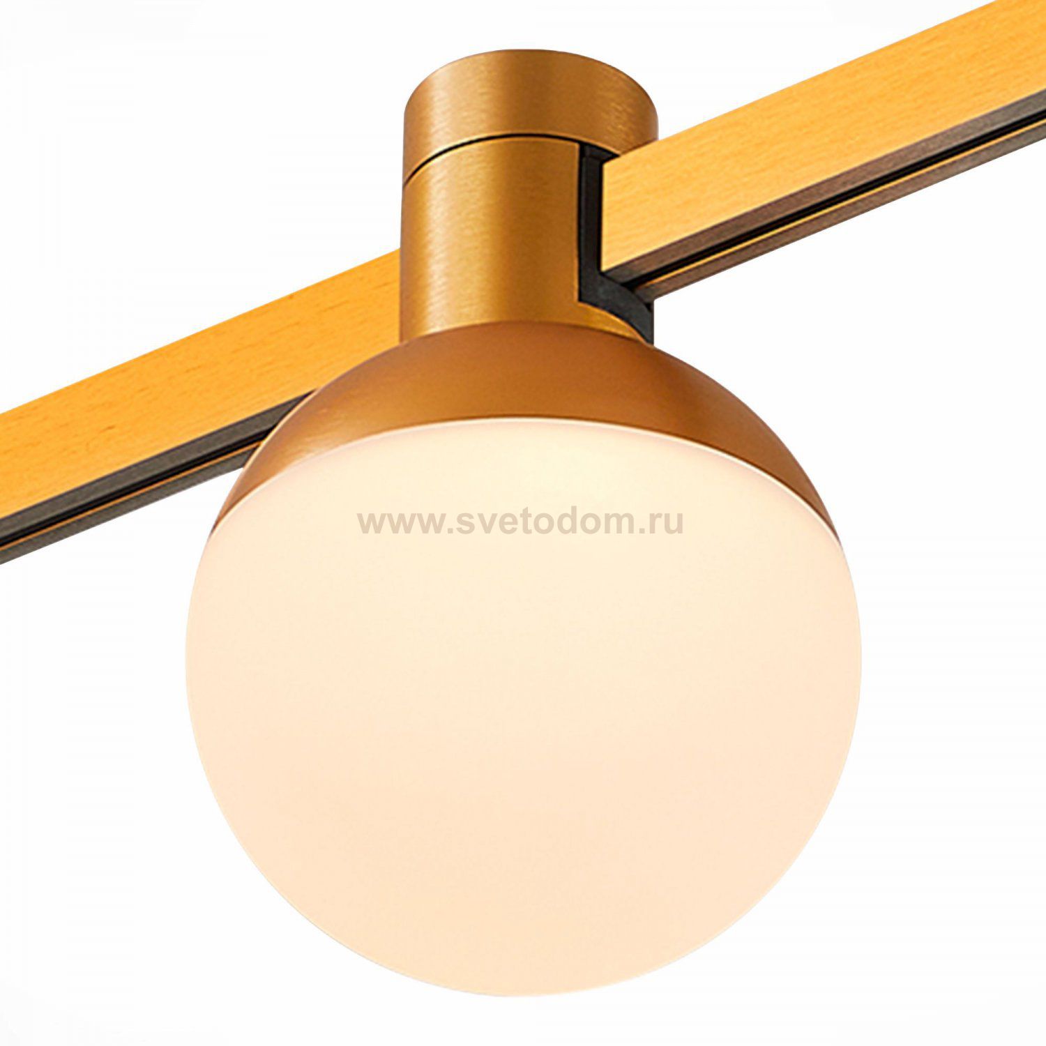 Светильник встраиваемый трековый St luce ST815.246.05 FARM