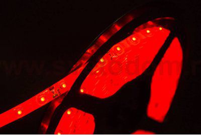 Лента светодиодная SWG SWG360 SWG SWG360-12-4.8-R-65