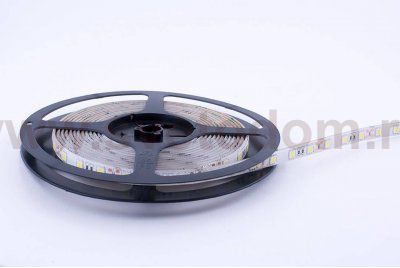 Лента светодиодная SWG SWG560 SWG SWG560-12-14.4-W-65