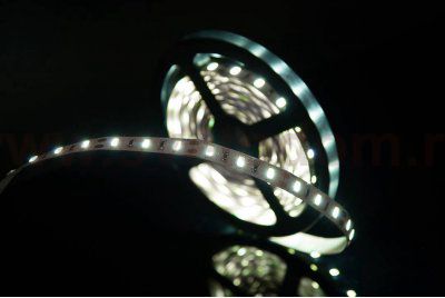 Лента светодиодная SWG SWG660 SWG SWG660-12-20-W