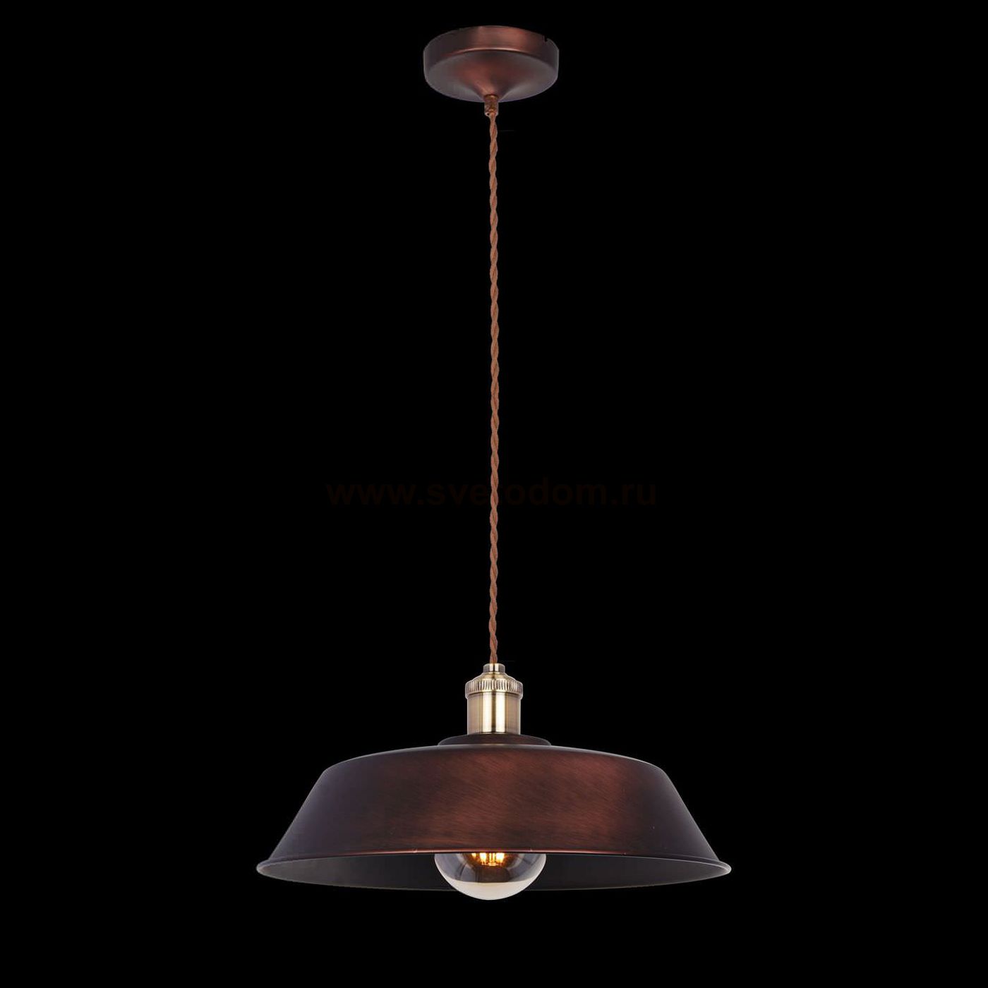 Подвесной светильник Maytoni T027-01-R Pail Pail