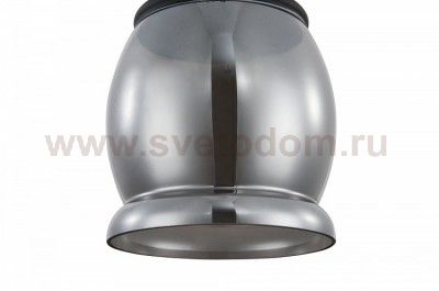 Подвесной светильник Maytoni T162-00-B Danas