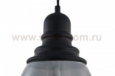 Подвесной светильник Maytoni T162-00-B Danas