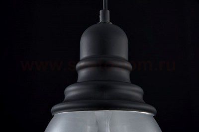 Подвесной светильник Maytoni T162-00-B Danas