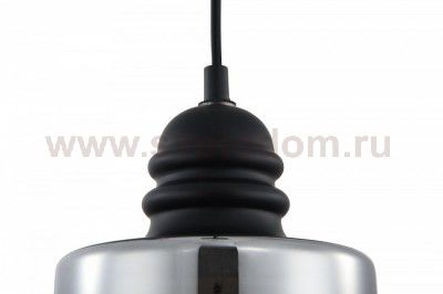 Подвесной светильник Maytoni T162-01-B Danas