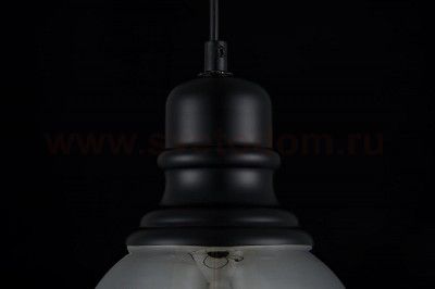 Подвесной светильник Maytoni T162-11-B Danas