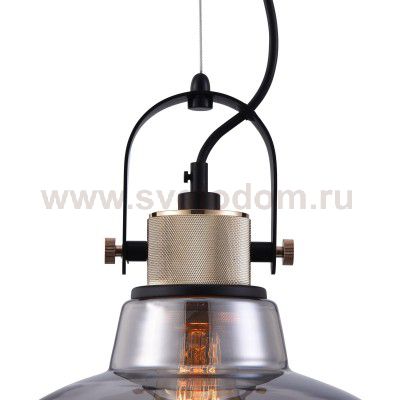 Подвесной светильник Maytoni T163PL-01C Irving