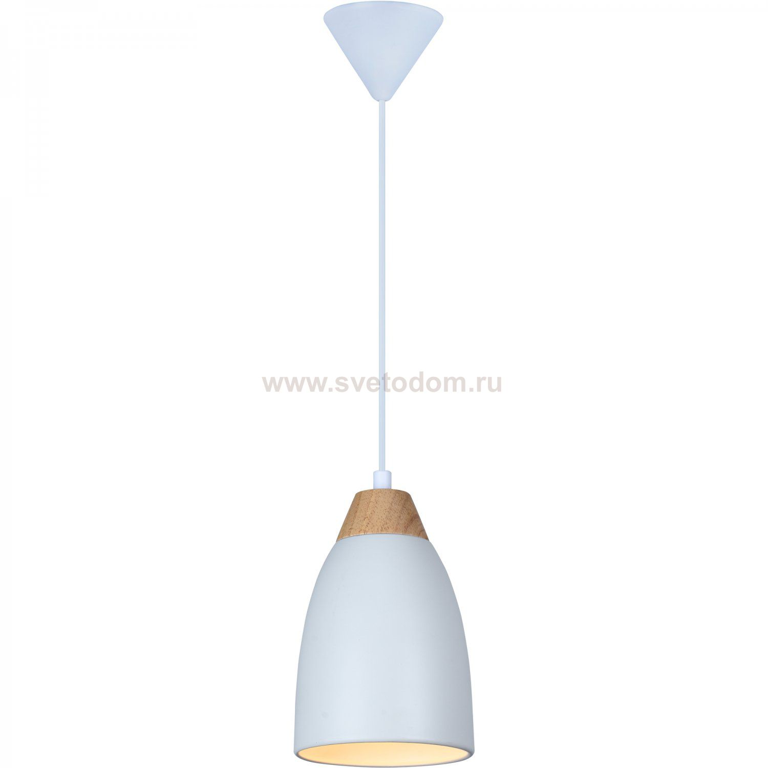Светильник подвесной Leah TL0724H-2W Toplight