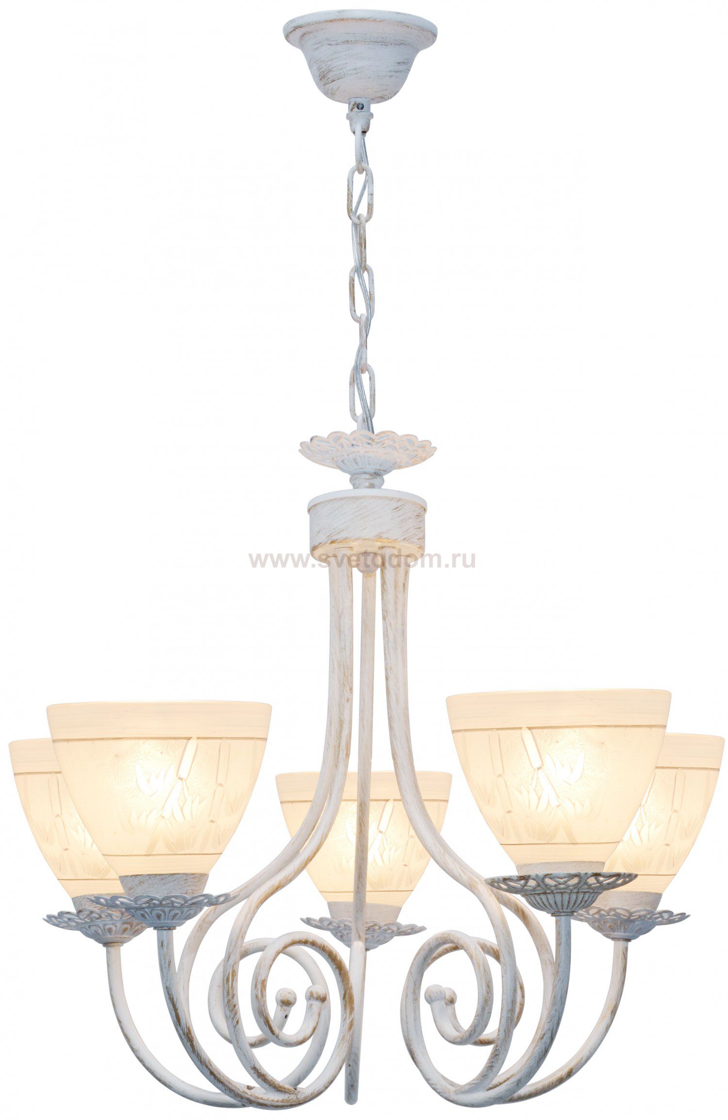 Люстра подвесная Barbara TL1134-5H Toplight