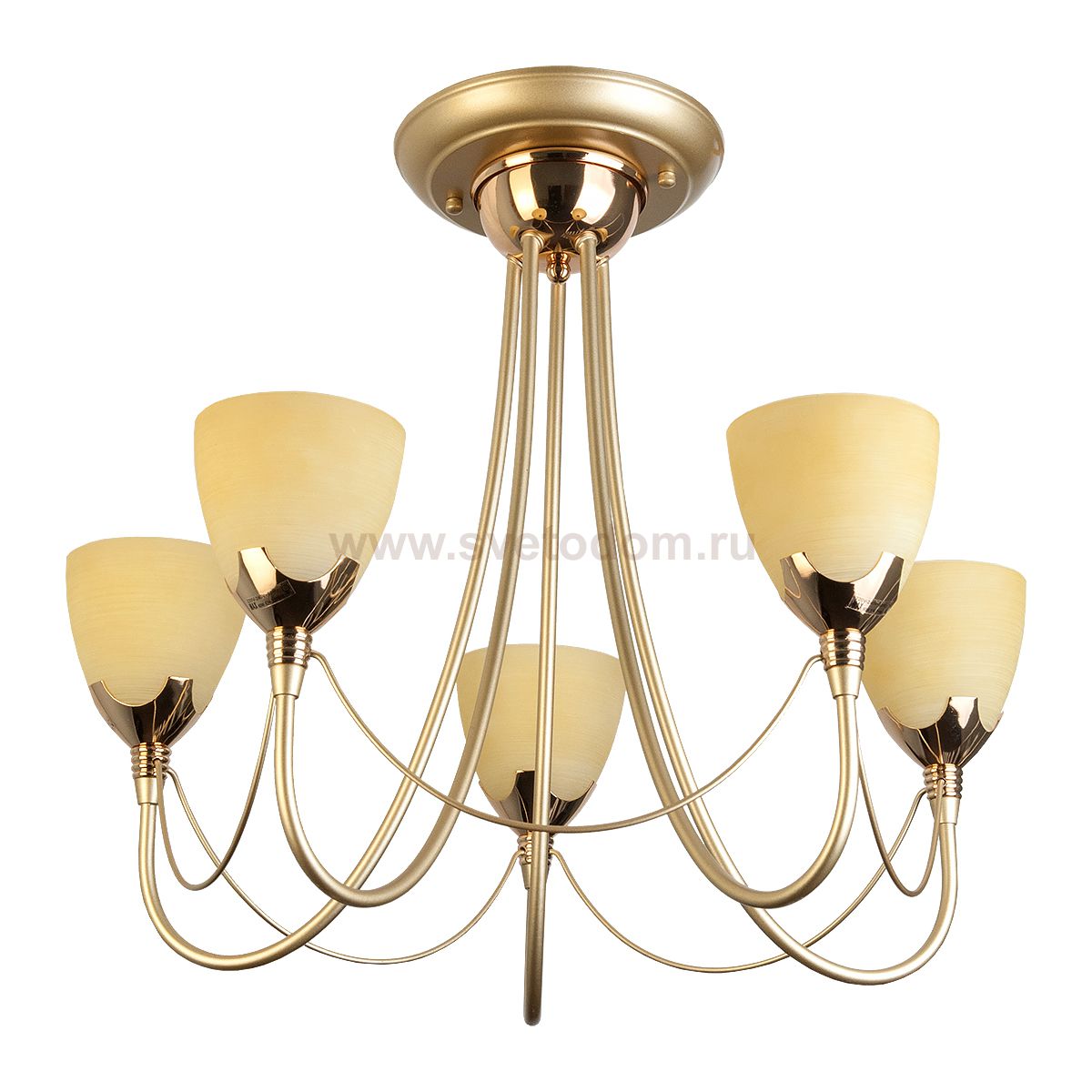 Люстра потолочная Lucia TL3630X-05MG Toplight