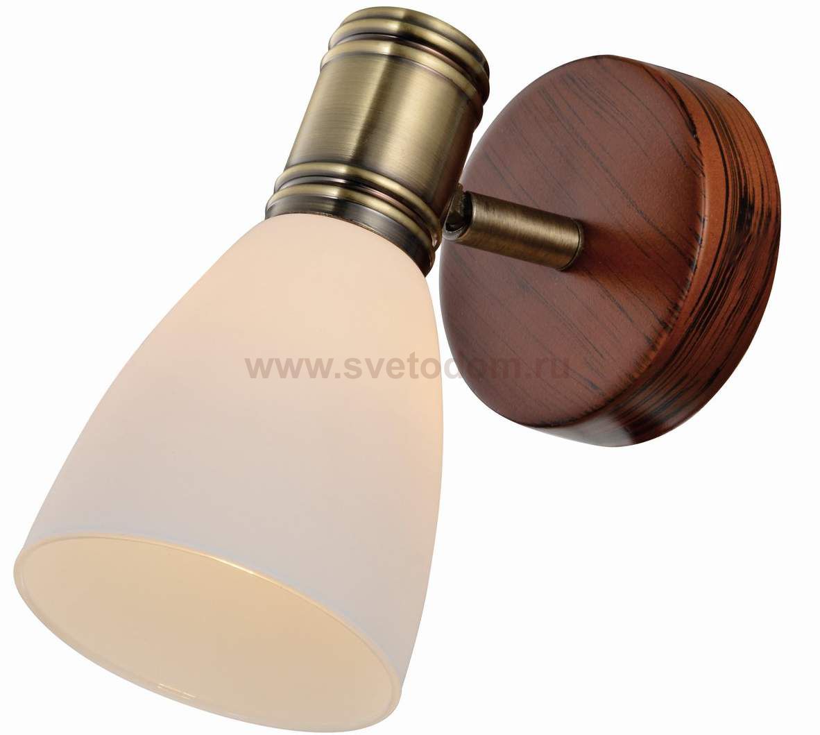 Светильник поворотный спот Sharyl TL3720Y-01BB Toplight