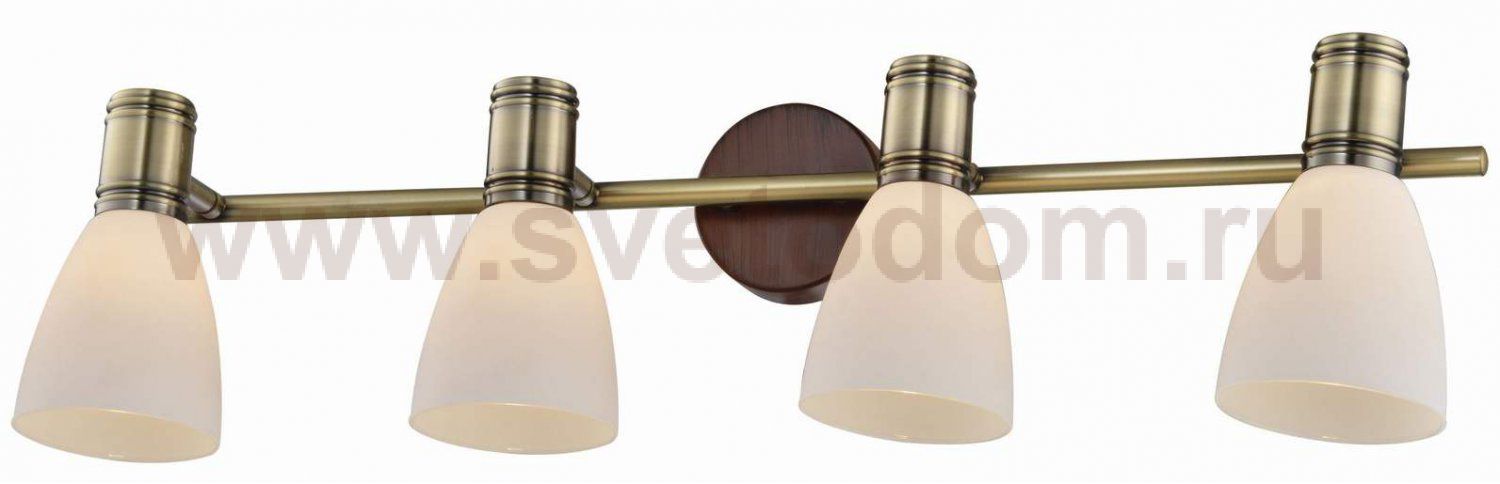 Светильник поворотный спот Sharyl TL3720Y-04BB Toplight