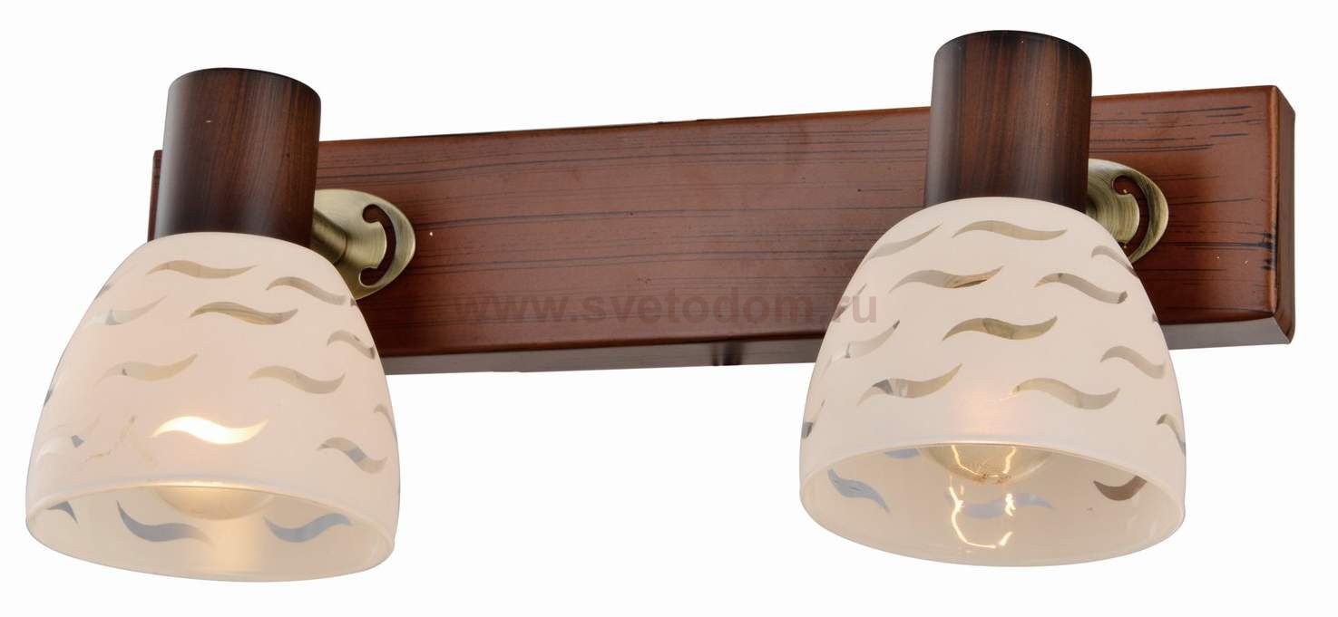 Светильник поворотный спот Shayla TL3730Y-02BB Toplight