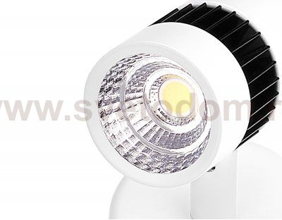 Светильник Ambrella TN101/10W WH/BK 