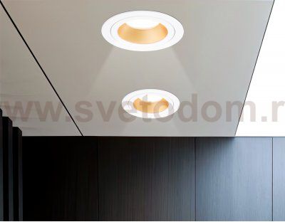 TN102823 WH/GD белый/золото GU5.3 D92*50