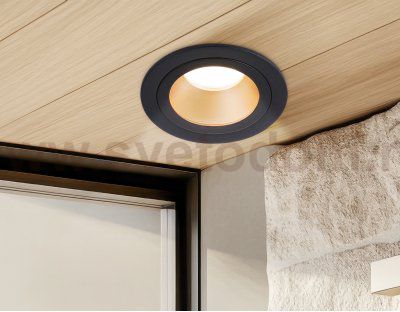 TN102825 BK/GD черный/золото GU5.3 D92*50