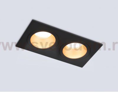 TN102833/2 BK/GD черный/золото GU5.3/2 178*93*50