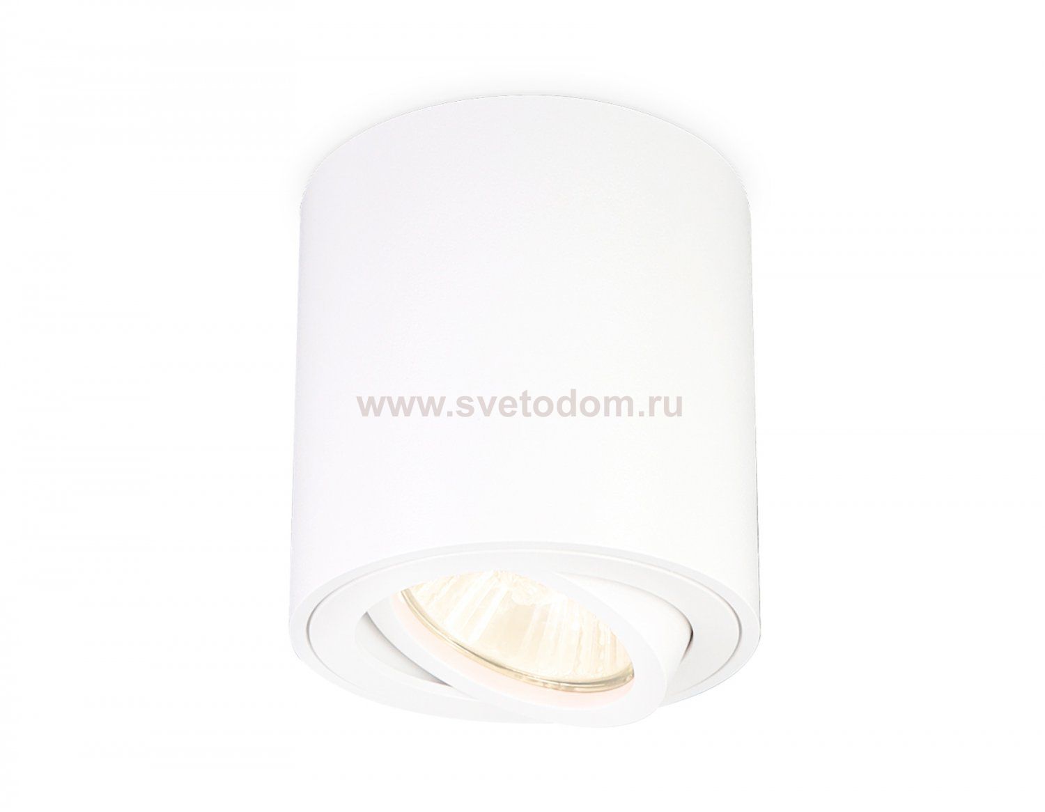 Накладной точечный поворотный светильник Ambrella TN22701 TN