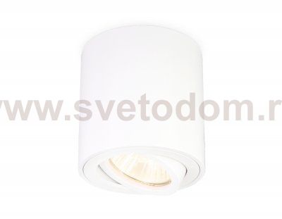 Накладной точечный поворотный светильник Ambrella TN22701 TN