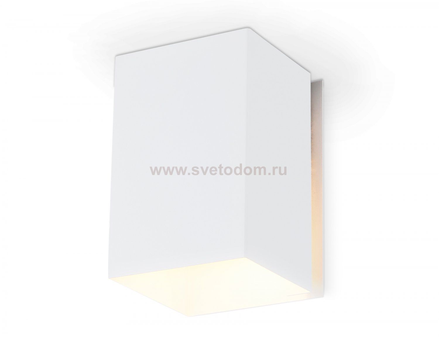 Светильник потолочный накладной со сменной лампой E27 Ambrella TN5111 TN