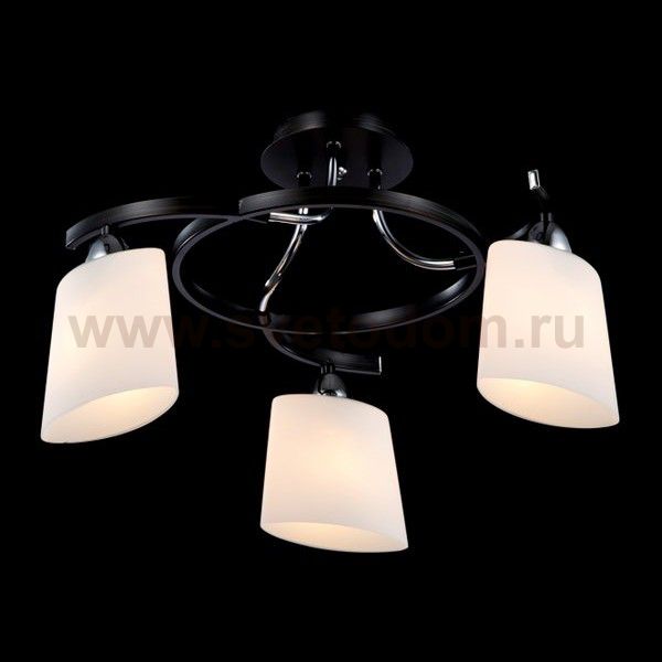 Светильник Maytoni TOC002-03-N Eurosize Eurosize 2