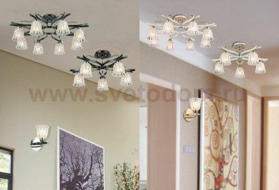 Люстра Maytoni TOC009-08-N Eurosize