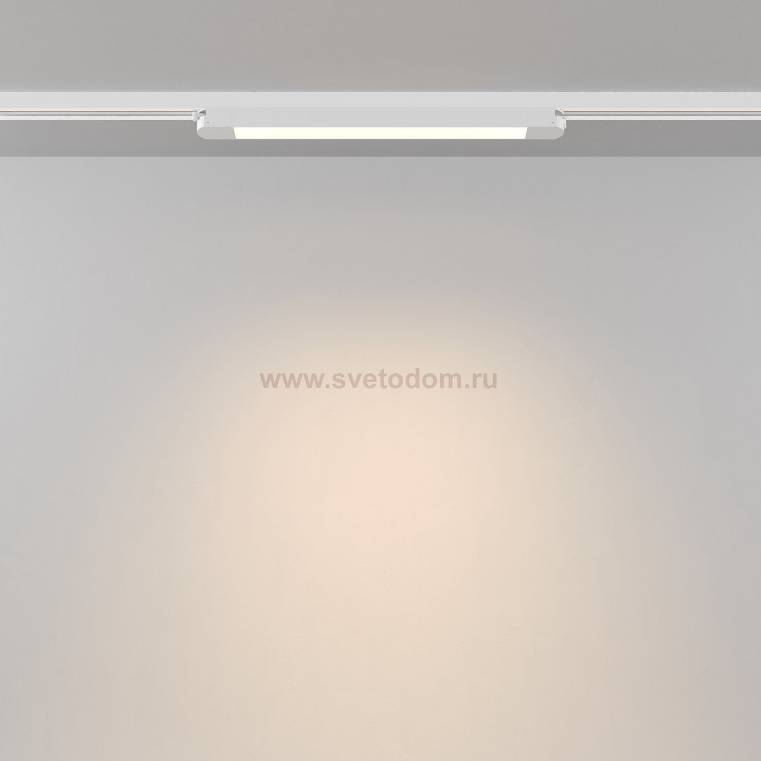 Трековый светильник Technical TR000-1-12W3K-W_1