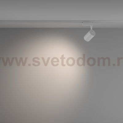 Трековый светильник Maytoni TR003-1-10W4K-W-W Vuoro