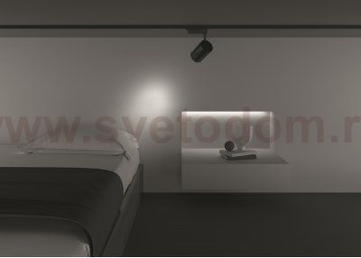 Трековый светильник Maytoni TR003-1-15W3K-S-B Vuoro