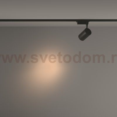 Трековый светильник Maytoni TR003-1-15W3K-S-B Vuoro