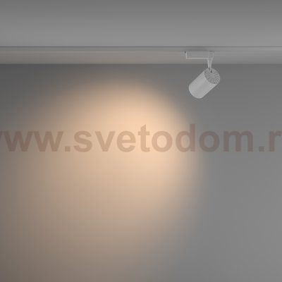 Трековый светильник Maytoni TR003-1-15W3K-W-W Vuoro