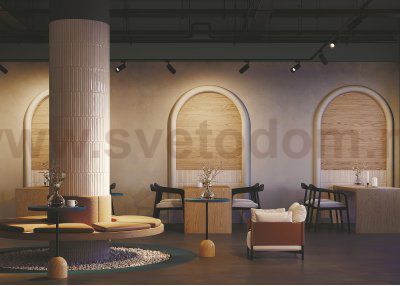 Трековый светильник Maytoni TR003-1-6W4K-S-W Vuoro