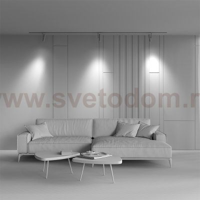 Трековый светильник Maytoni TR005-2-12W3K-BW Elti