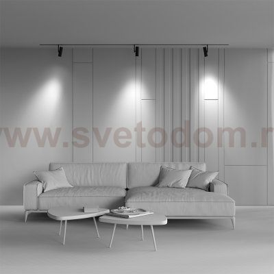 Трековый светильник Maytoni TR005-2-12W3K-B Elti